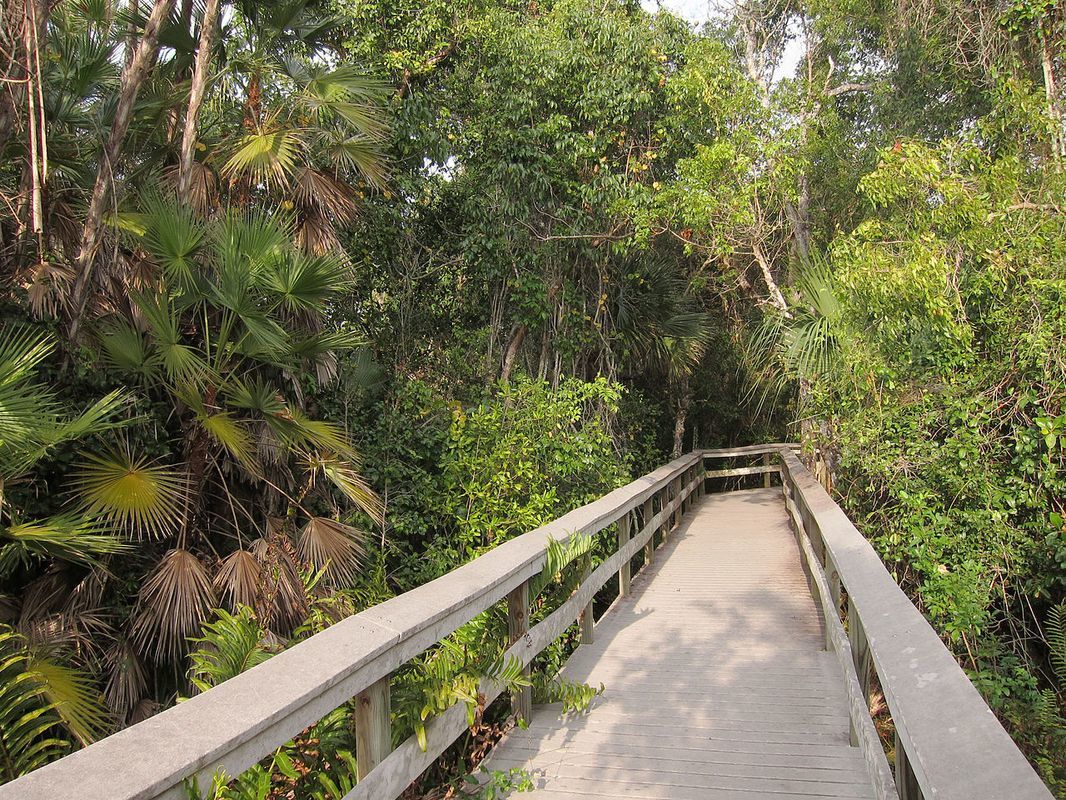 Майами национальный парк Эверглейдс